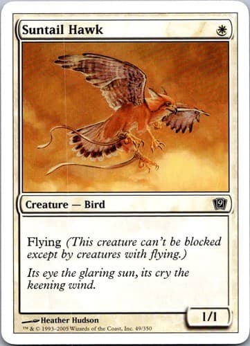 Suntail Hawk C 8ED #51 NM MTG Magic