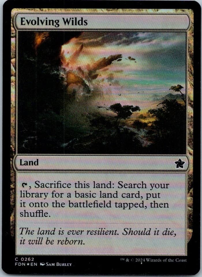Evolving Wilds C Foundations 262 NM